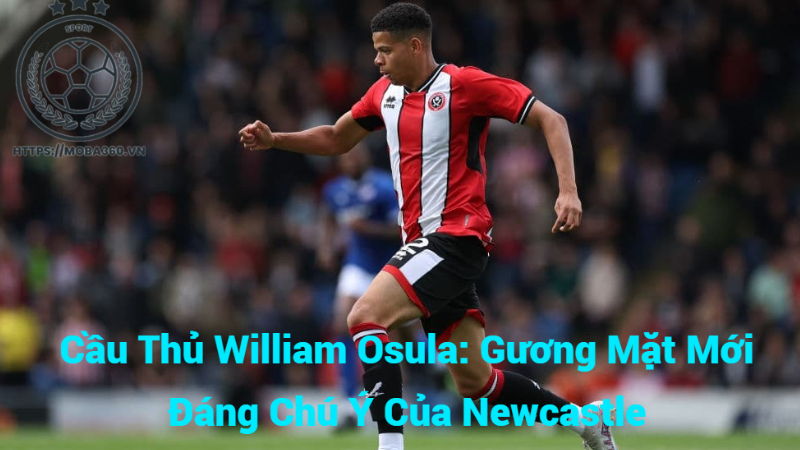 Cầu Thủ William Osula: Gương Mặt Mới Đáng Chú Ý Của Newcastle